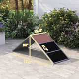 Dog Agility Ramp 37838431