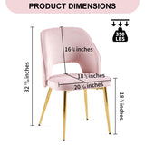 Pink Velvet Dining Chairs with Metal Legs and Hollow Back Upholstered Dining Chairs Set of 2 W1164P271252