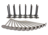 Engine Valve Kit Set Intake Exhaust for Dodge Grand Caravan Chrysler 300 3.5 4.0 04663836 39053271