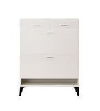 Large size Shoe Cabinet,Free Standing Tipping Bucket Shoe Rack Organizer with 2 Flip Drawers&2 W2516P185160