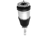 Front Left Air Suspension Shock Strut 102706600D fit for Tesla Model X 2016-2019 65348326