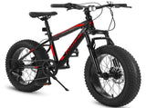 S20109 Kids' Bike 20 Inch Wheels Fat Tire Bike, 4" Wide Fat Tire Snow Mountain Bike Ages 8-12 Year W2563P156283