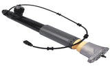 Rear Left Shock Absorber Strut with Electric Fits for Hyundai Equus 2011-2016 Genesis 2007-2016 01521746