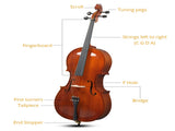 Full Side 4/4 Natural Color Spruce Panel Cello Tiger pattern process with Bag Bow Rosin Bridge 36858595