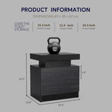 Nightstand LED Bedside Table Cabinet Lights Modern End Side with 2 Drawers for Bedroom W2178P287898