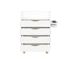 4 -Layer Salon Storage Cabinet,Beauty Barber Salon Styling Organizer Equipment,Hair Stylist W331P248070
