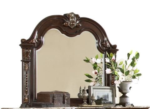 ZUN Roma Traditional Style Mirror made with Wood in Dark Walnut 808857704078