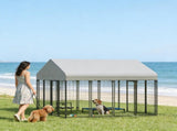 Dog Kennel Outdoor 20976984