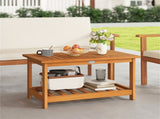Sturdy Slatted Outdoor Coffee Table with Lower Shelf, Indoor Outdoor Multi-Purpose Center Table 49669200