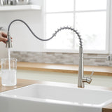 Commercial Brushed Nickel Kitchen Faucet with Pull out Sprayer, Single Handle Single Lever Kitchen W1932P288182