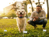 Electric Dog Fence System Pet Tone Shock Boundary Containment Water Resistant Collar Receiver For 81884925