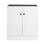 30" Freestanding Bathroom Vanity & 2 Soft-Close Cabinet Doors -Excluding Sink W999P241065