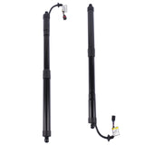2PCS Rear LH / RH Trunk Power Lift Support Fit for Nissan Pathfinder Platinum Hybrid S SL SL Hybrid 66489866