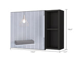 Myrick 2-Shelf Medicine Cabinet with Mirror Black Wengue B06280278