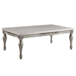 ZUN ACME Pelumi COFFEE TABLE Platinum Finish LV01115