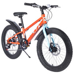 ZUN 20 Inch Kids Bicycles , Fat Tire Mountain Bike for Boys and Girls Age 5 + Years ,Dual-Disc W1019P203873