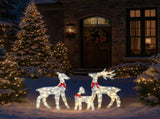 3-Piece Lighted Tinsel Christmas Reindeer Family Outdoor Decorations, Weather Proof Deer Family 31183230
