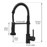 ZUN Commercial Black Kitchen with Pull Down Sprayer, Single Handle Single Lever Kitchen Sink W1932P171816