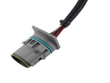 4L60E 4L65E Transmission Internal Harness fit for 2003-2006 TCC Solenoid 15320476 56811584