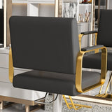 Hydraulic Salon Chair - 360&deg Swivel Barber Stylist Chair with Pump, Non-Tilting Hairdressing Chair W2700P318173