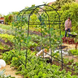 Garden Arch TrellisMetal Structure 04074568