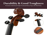 Professional 4/4 Full Size Violin Set - Durable, Lightweight Design with Stable Rich Sound, Smooth 99938101