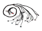 OBD2 D&B-series Tucked Engine Wire Harness Fit For 1992-2000 Honda Civic B16 B18 D16 11775816
