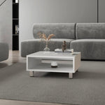 ZUN White Coffee Table with Open Storage B062P252204