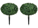 Artificial Plant/Green plants 34919833