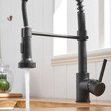Commercial Black Kitchen with Pull Down Sprayer, Single Handle Single Lever Kitchen Sink W1932P171816
