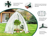 Hexagonal Mini Greenhouse with Zipper Door & Roll-Up Window, PE Cover Outdoor Plant House - White 14163863