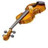 New 3/4 Acoustic Violin with Hard Case,Violin Bow,Shoulder Rest,Rosin,Extra Strings and Sourdine 52511877