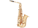 Alto Saxophone E-Flat Alto SAX Eb with 11reeds, case,carekit,Gold Color for 30684206