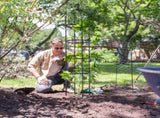 2 Packs Garden Obelisk Trellis 5.9FT Plants Tower for Climbing Plants Flower Vegetable Vine Support 84045793