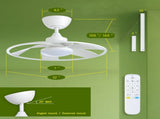 Light Pro 22 in. LED Indoor white Smart Ceiling Fan with DC Motor Unable ship on weekends, TK/TEMU 14486000