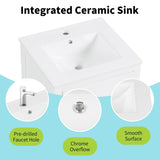 20" Bathroom Vanity with Sink, Bathroom Cabinet with Soft Closing Door, Storage Rack and A Drawer, 95881183