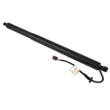 Lift Cylinder Left Fit for Hyundai Tucson Sport Utility 1.6L 2.5L L4 2022-2024 4-Door 81831-N9100 18272969