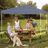 10 X 10 FT Gray Pop up Tent with Wheeled Bag and 1 Sidewall 09507160
