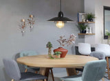 Farmhouse Vintage Pendant Light Black Fixture Pendant Lights with Spring Frame Adjustable Metal 12259134