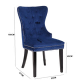 Erica 2 Piece Stainless Steel Legs Chair Finish with Velvet Fabric in Blue 808857648174