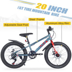 ZUN 20 Inch Kids Bicycles , Fat Tire Mountain Bike for Boys and Girls Age 5 + Years ,Dual-Disc W1019P203875