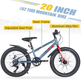 ZUN 20 Inch Kids Bicycles , Fat Tire Mountain Bike for Boys and Girls Age 5 + Years ,Dual-Disc W1019P203875