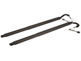 2Pcs Rear Left Right Power Lift Gate Cylinder Struts Fit for 2015-2019 Nissan Murano 3.5L 73029411