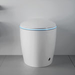 ZUN Unique Smart Toilet with Bidet Built In, Intelligent One Piece Toilet For Modern Bathroom, Auto W2826P230233