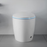 ZUN Unique Smart Toilet with Bidet Built In, Intelligent One Piece Toilet For Modern Bathroom, Auto W2826P230233