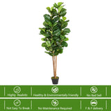 6FT Solid Wood 156 Leaves Truncated Piano Leaf Banyan Simulation Tree Green 38937564