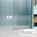 56" - 60" W x 76" H Frameless Soft-closing Single Sliding Shower Door, 1/4" Tempered Glass W1573P198749