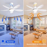 ZUN 42 Inch Ceiling Fan with Light and Remote Cotnrol 6 Speeds DC Reversible Motor W882P221554