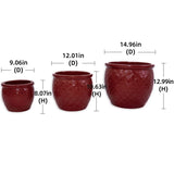 Set of 3 Ceramic Flowerpot, Modern Planter for Patio, Garden, Windowsill - Red W3273P321489
