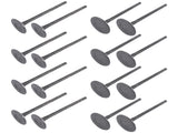 8X Intake Valves 8X Exhaust Valves Replacement for Toyota RAV4 Corolla Scion tC xB 2AZ-FE 48355106